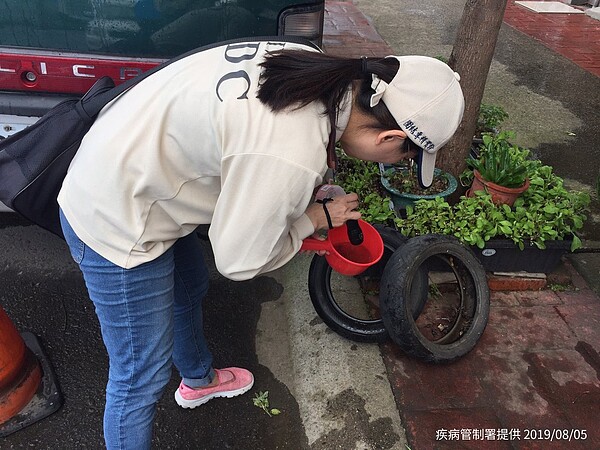 疾管署防疫人員於桃園市中壢區調查孳生源。圖/疾管署提供