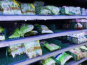 北市到貨量增加　蔬菜批發價微降