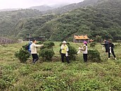 龜山島今起提前冬眠3個月　明年春天再見