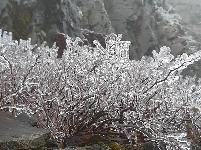 合歡山目前還沒降雪，但台14甲線35K處已結起了「霧淞」。圖／取自臉書《天氣風險 weatherrisk》