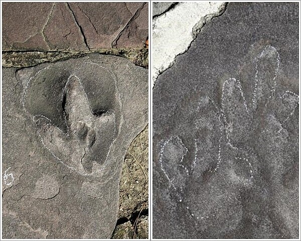 承德避暑山莊發現發現逾300處侏羅紀恐龍足跡。圖/網路圖片