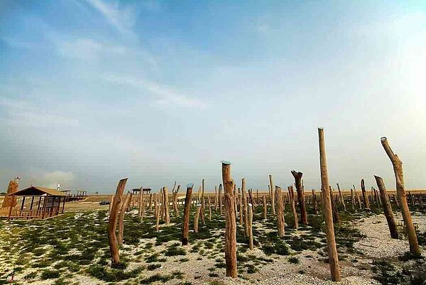 彰化縣福興鄉漂流光座標是知名廢墟風景點,因漂流木流失已剩不到百支,南投林區管理處無償提供88支給當地公所。圖/聯合報系資料照 吳農夫攝影