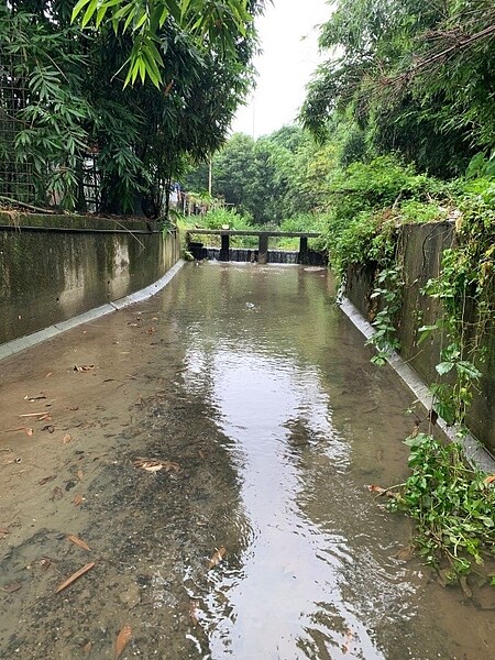 後村水圳經水源引入,水質一清。(圖/新北市水利局)