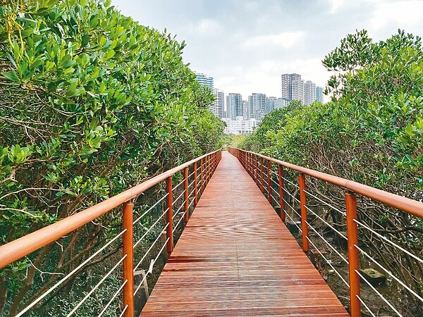 紅樹林木棧步道整修後重新開放。 圖/羅東林區管理處提供