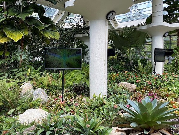 酸水南行為影像藝術節,影像藝術《The Stream VII》稻田的人工水道下的抽象化自然景象。圖/台北市政府提供