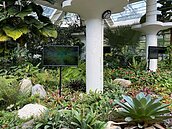 國際接軌＋文化變身！把藝術帶入「青年公園」