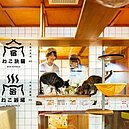 貓奴天堂　日本大阪「貓客棧」即將開幕