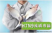 H7N9來了！衛生署急啟7大防疫措施　開放流感特別門診