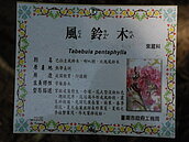 南市水萍塭公園解說錯很大　工務局難辭其咎