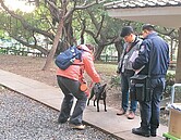 防生憾事　遛狗未牽繩　北市取締30件