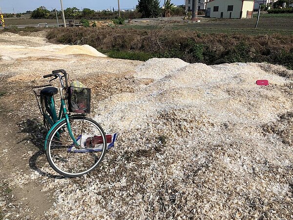 田間農業廢棄物多,圖為業者處理進口蒜頭,就把大蒜外膜棄置在鄉間,造成環境問題。圖/讀者提供