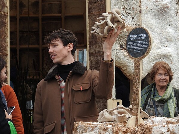 荷蘭設計週上的成長館,獨特造型吸引人,蘑菇會不斷從建材生長出來,而且甚至還能直接採下,供食用、販賣。圖/取自Company New Heroes