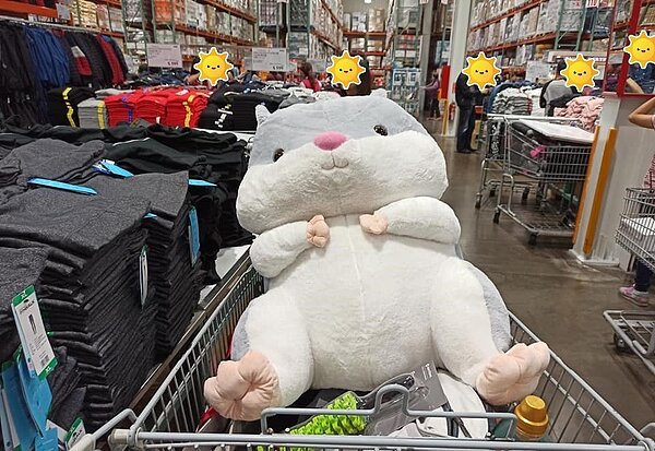 網友在好市多社團分享倉鼠布偶,掀起網友一陣暴動。圖擷自Costco好市多 商品經驗老實說