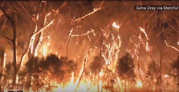 澳洲近來破紀錄的高溫助長前所未見的山林大火，新南威爾斯省（New South Wales）發布為期七天的緊急狀態。圖／截自AccuWeather