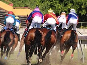 好新奇！日本這項熱門運動　也能成為觀察經濟的指標