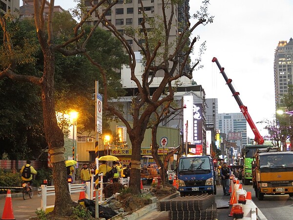 桃園捷運綠線GC03標開工，將沿桃園區中正路採地下潛盾工法施工，近期開始著手路面交通維持工程削減人行道、移除行道樹。記者張裕珍／攝影