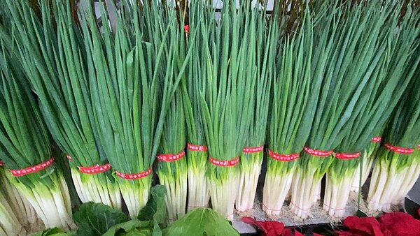 三星蔥品質好，考量市場供需，以夏天時量少價高，為盛產期，冬天種植較少，一般費時3個月收成，不過，遇上暖冬，蔥的成長速度較快，可以提前7到14天成熟採收。圖／聯合資料照片