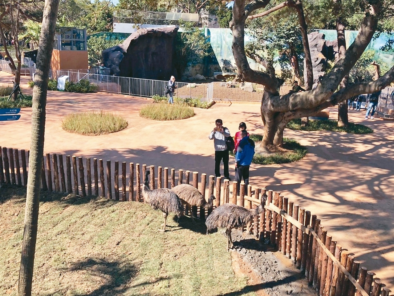 新竹市立動物園重新開幕，標榜沒有鐵籠，民眾可在5大區近距離觀看河馬、猛獸等動物。圖／記者王駿杰／攝影
