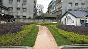 新店區國有地遭占用　綠美化搖身新興綠地