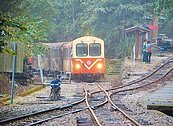 林鐵主題列車　邀你感受四季特色