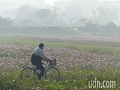 霧裡看花！彰化二林空汙衝上全台第一