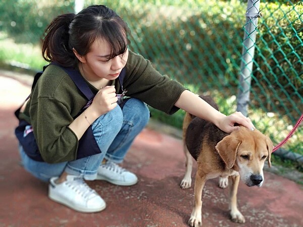 新北8處動物之家成為有情緒困擾的民眾,另類舒壓的去處。圖/新北市動保處提供