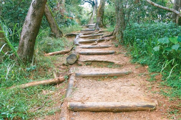 台北市政府近年試辦手作登山步道，頗受山友好評。 圖／台北市大地處提供