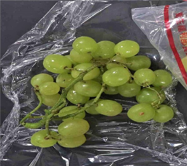 衛福部食藥署今日公布邊境查驗不合格名單,其中包括白木屋食品股份有限公司自美國進口的葡萄。圖/衛福部食藥署提供