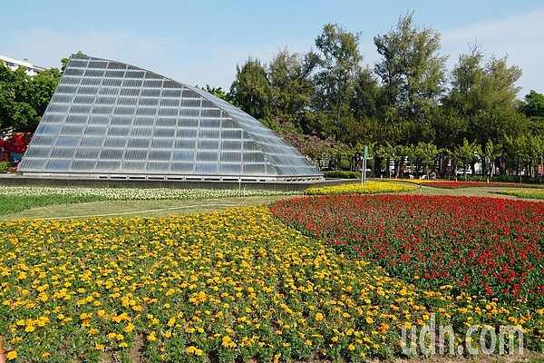 台南市政府工務局今年迎新春，南瀛綠都心公園以「花開如意」為設計主軸，妝點花海。記者吳淑玲／攝影