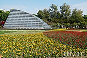 台南走春！南瀛綠都心、永康公園布置繽紛花海地毯