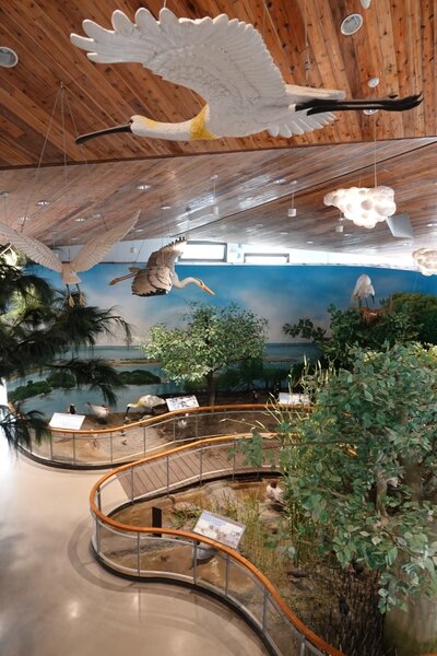台江遊客中心放大版濕地生態展示。圖／內政部營建署提供