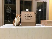 「浪浪」入新厝！竹市動保教育園區18日啟用