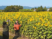 高雄燈藝節　初五起百鼠遊愛河