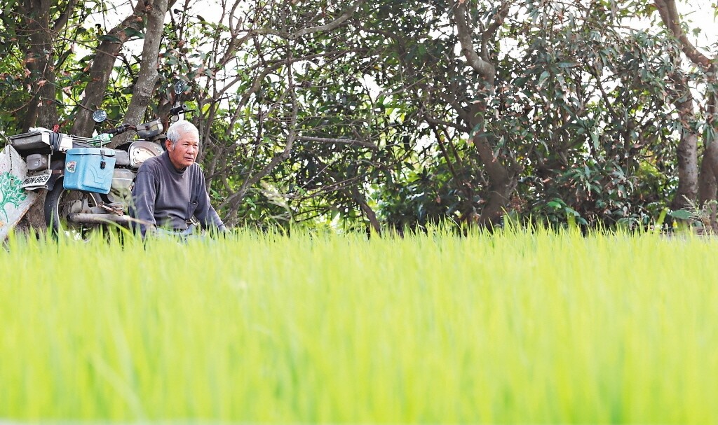 農委會今（14日）宣布，今年1月起老農津貼調增294元，調整後之金額為每月7550元。 圖／聯合報系資料照片