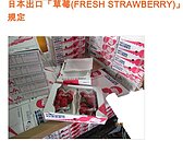 草莓季到！食藥署揪出千餘公斤進口農藥超標