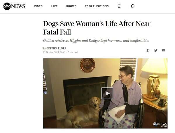 美國獨居老人在家昏迷　全靠愛犬撿回一命（圖翻攝自abc news）