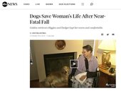 美國獨居老人在家昏迷　全靠愛犬撿回一命