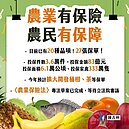 寒流農損...17名農漁民投保氣象保單　174.5萬元入帳了