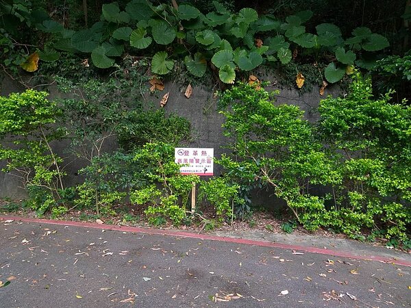 新北市樹林區已累積5例登革熱案例,衛生局除持續針對坡内里風險菜園噴消孳清外,也在風險菜園周邊設立警示牌。圖/新北市衛生局提供