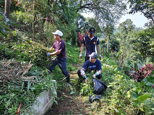 新北市「小花終結者聯盟」與土城區淨慈寺志工，一同和土城居民移除外來入侵植物「小花蔓澤蘭」。圖／新北市農業局提供