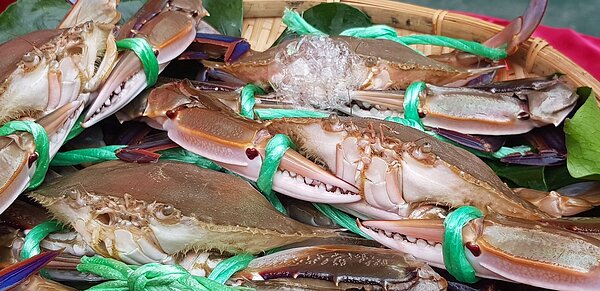 正值秋季，民眾可趁這機會造訪北海岸萬金石，大啖蟹嚐鮮。圖／新北市政府提供