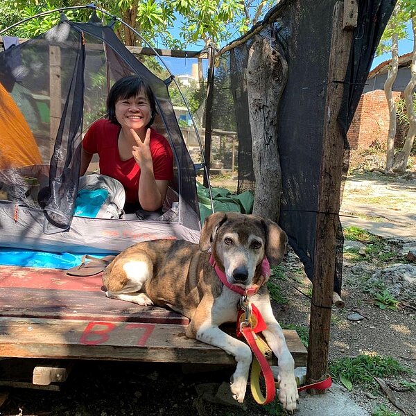 搜救犬「阿六」退役後,被朱小姐認養,在台中過著悠閒的退休生活。圖/內政部消防署提供