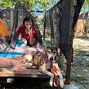 搜救犬也期待好人家領養　最萌搜救英雄退休生活曝光