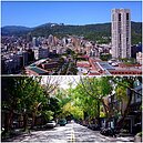 天龍中的天龍　天母 VS 民生社區住哪好？