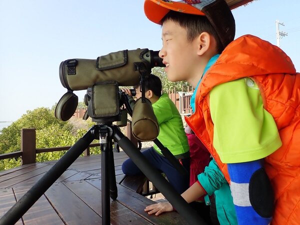 秋天，是賞鳥的好時光，台江國家公園管理處，11月16日推出「HAPPY探索趣」活動，讓親子一起觀賞黑面琵鷺。圖/台江國家公園管理處提供