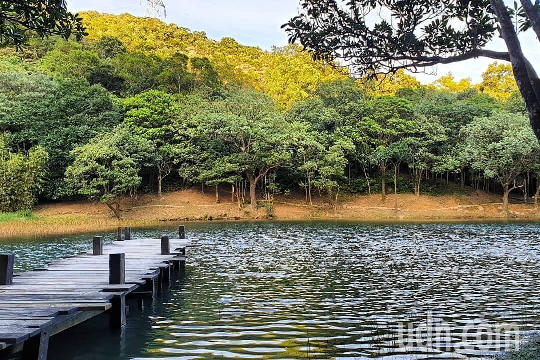 擁有「天使的秘境」之稱的夢湖，為汐止當地著名景點，湖中及周遭擁有豐富的生態環境。記者胡瑞玲／攝影