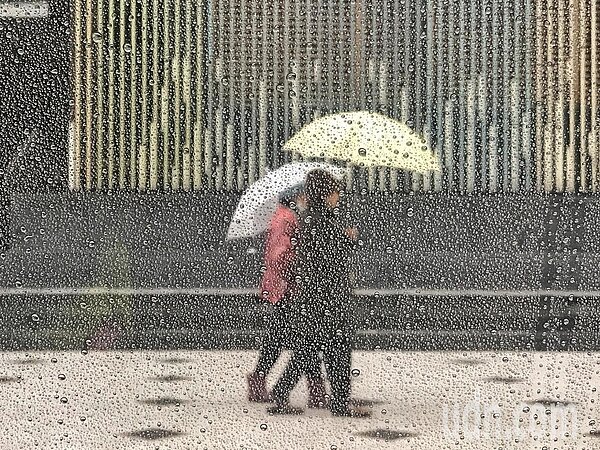 中央氣象局說,這周受到東北風影響,迎風面有雨。聯合報系資料照片