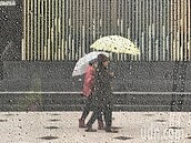 氣象局：北部明降5度　有雨到周日