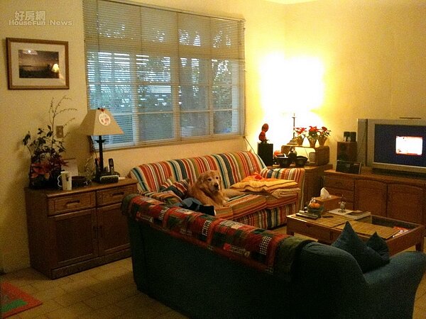 藝人姚黛瑋租屋處的客廳有濃濃的鄉村風格，大大的沙發讓愛犬Rider趴坐在上面也不嫌小。圖／好房網News資料照