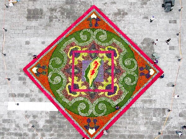 限時3天的大型台灣圖騰花毯，在中正紀念堂展出。圖／農委會提供